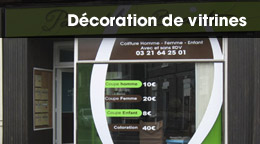 vitrine copie