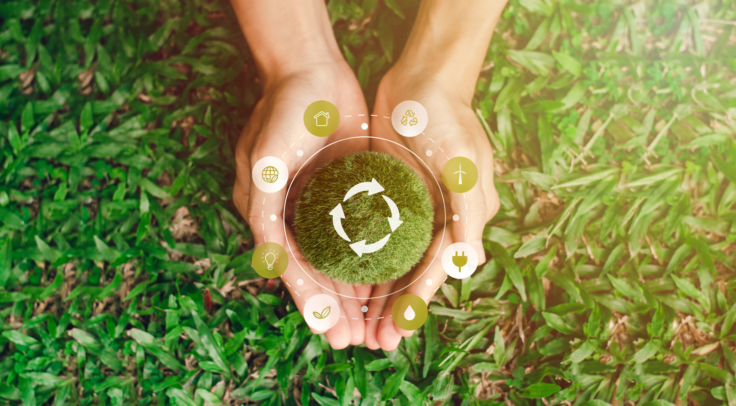 Prestation : Gamme éco-responsable